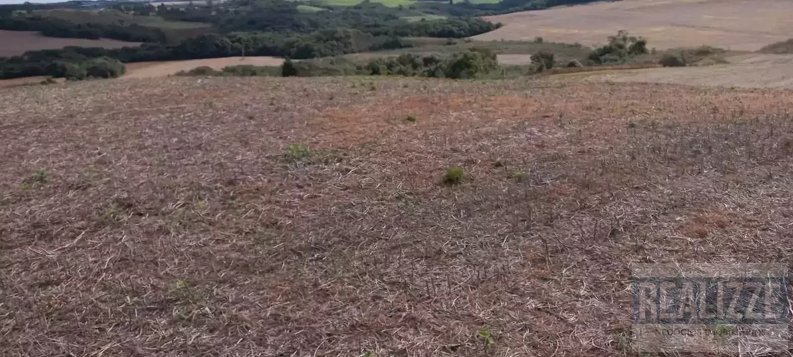 Área de Terra à Venda em Soledade RS - 233ha