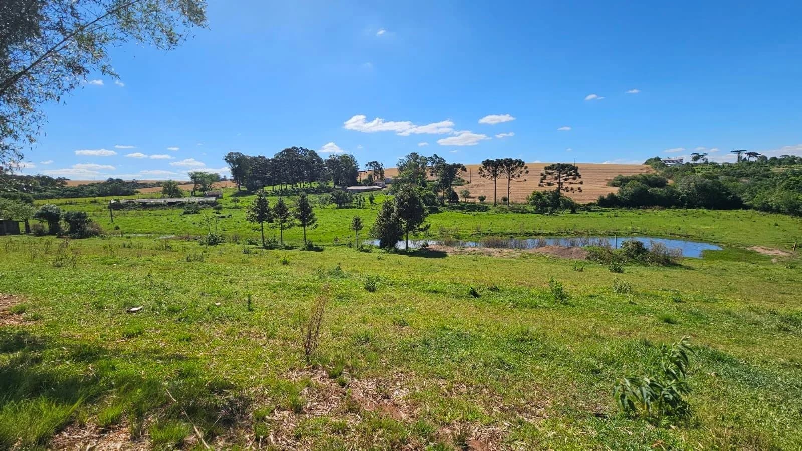 Sítio à Venda em Passo das Pedras, Passo Fundo - RS