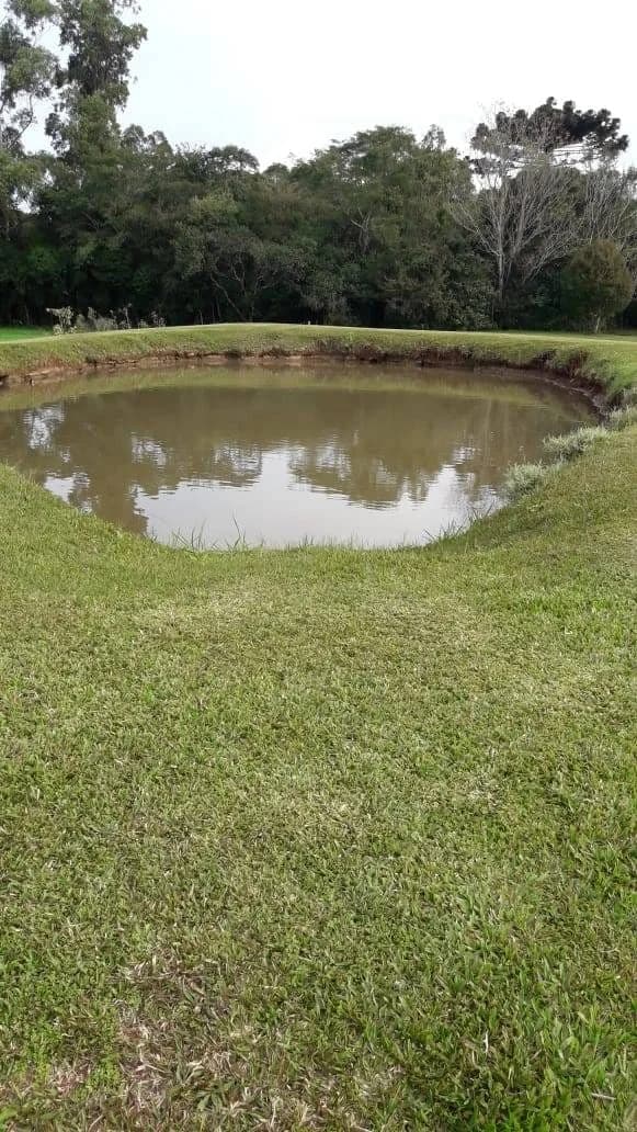 Sítio à Venda em Marau RS - 70.000 m²