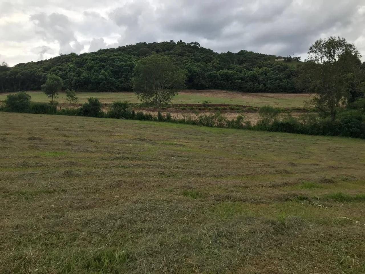 Sítio à Venda em Marau RS | 21.175 m²