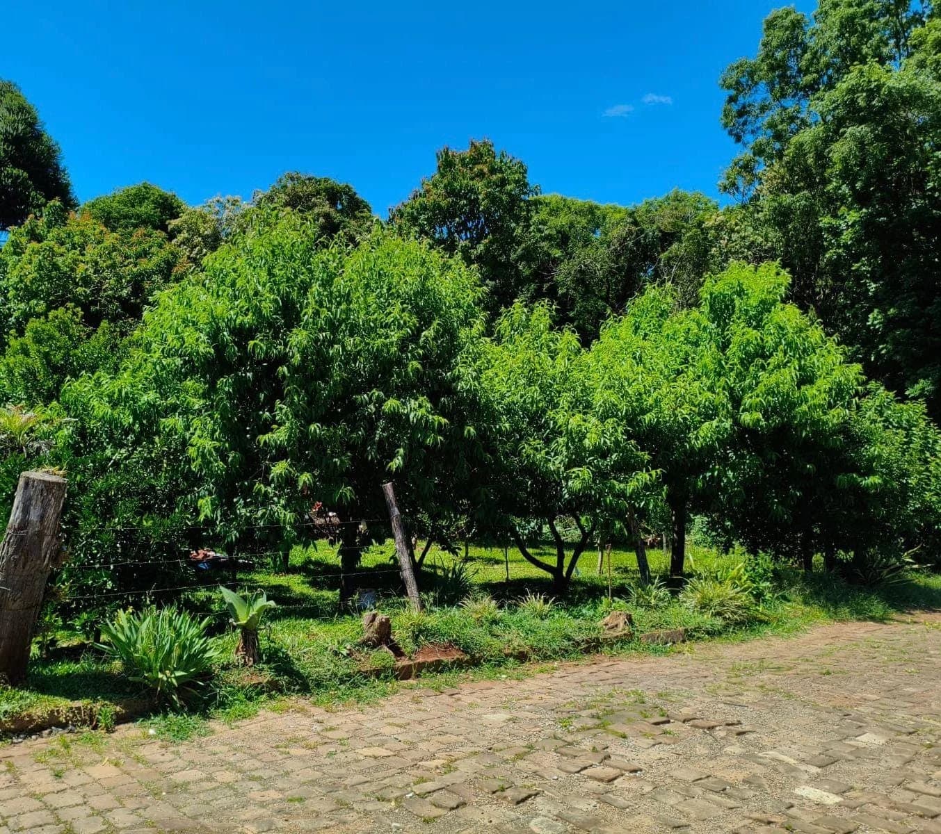 Terreno à Venda no Jardim do Sol, Marau RS