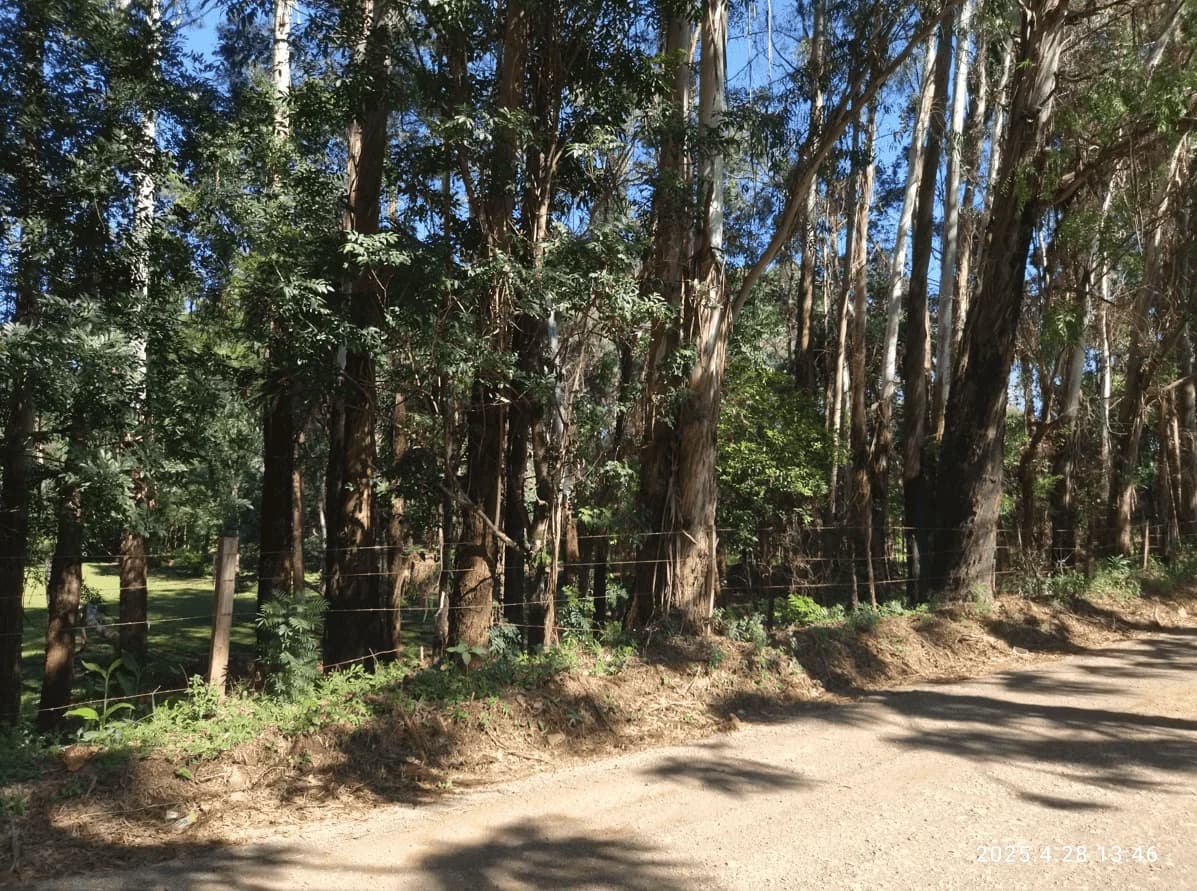 Terreno à Venda em Marau RS | 14.716 m²
