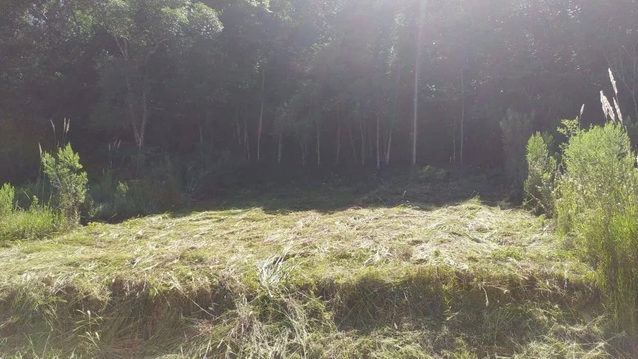 Terreno - Avelino Setti
