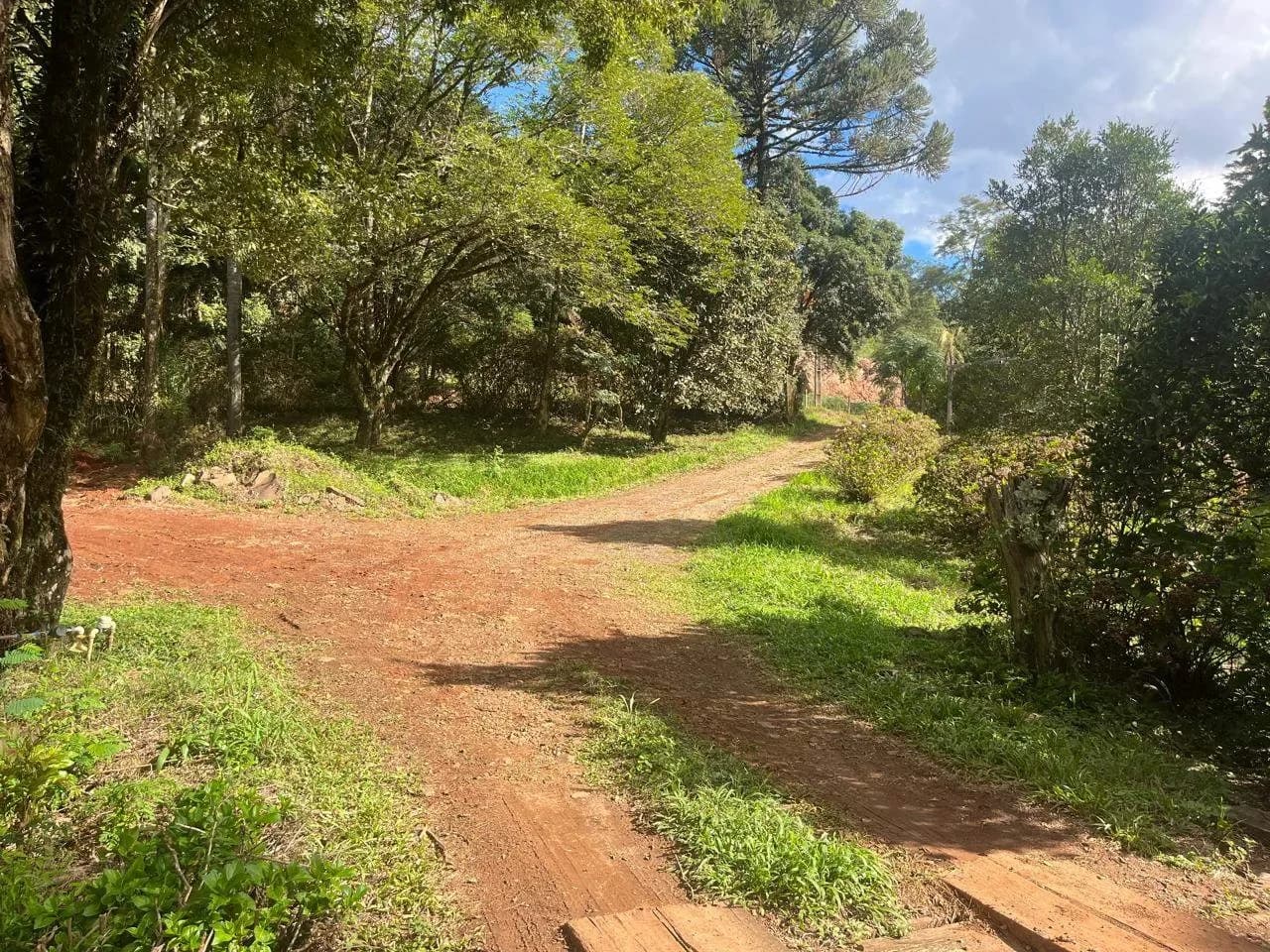 Sítio à Venda em Santo Antônio dos Triches - Marau RS - 20.000 m²