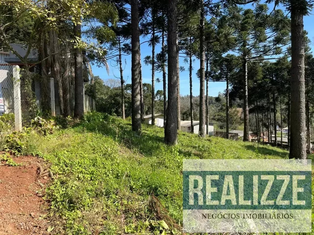 Sítio à Venda em Marau RS - 2.417 m²