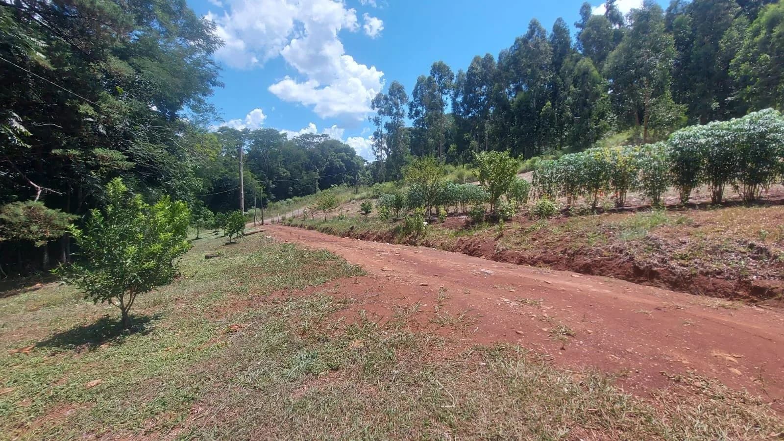 Sítio à Venda em Nossa Senhora do Carmos - Marau RS - 5800m²