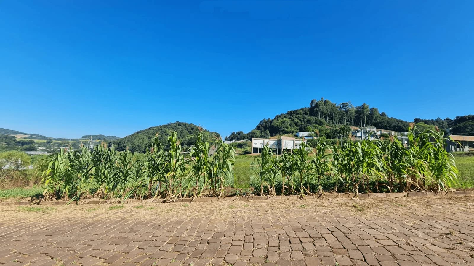 Terreno à Venda em De Rocco, Marau RS