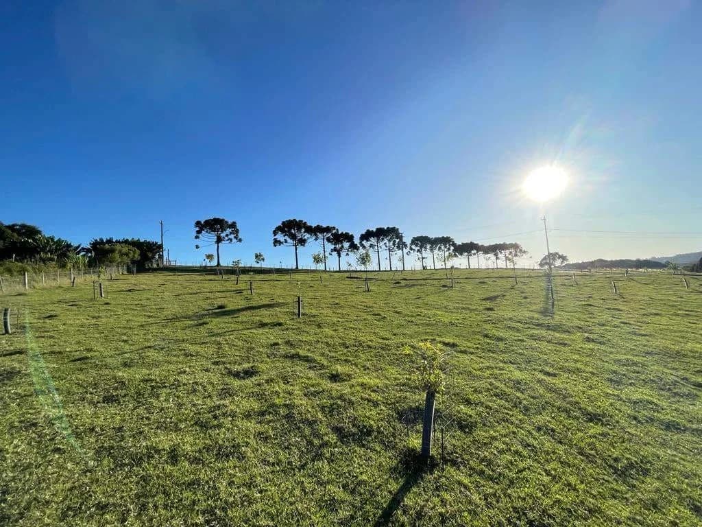 Sítio à Venda em São Luiz da Mortandade Marau RS - São Luís