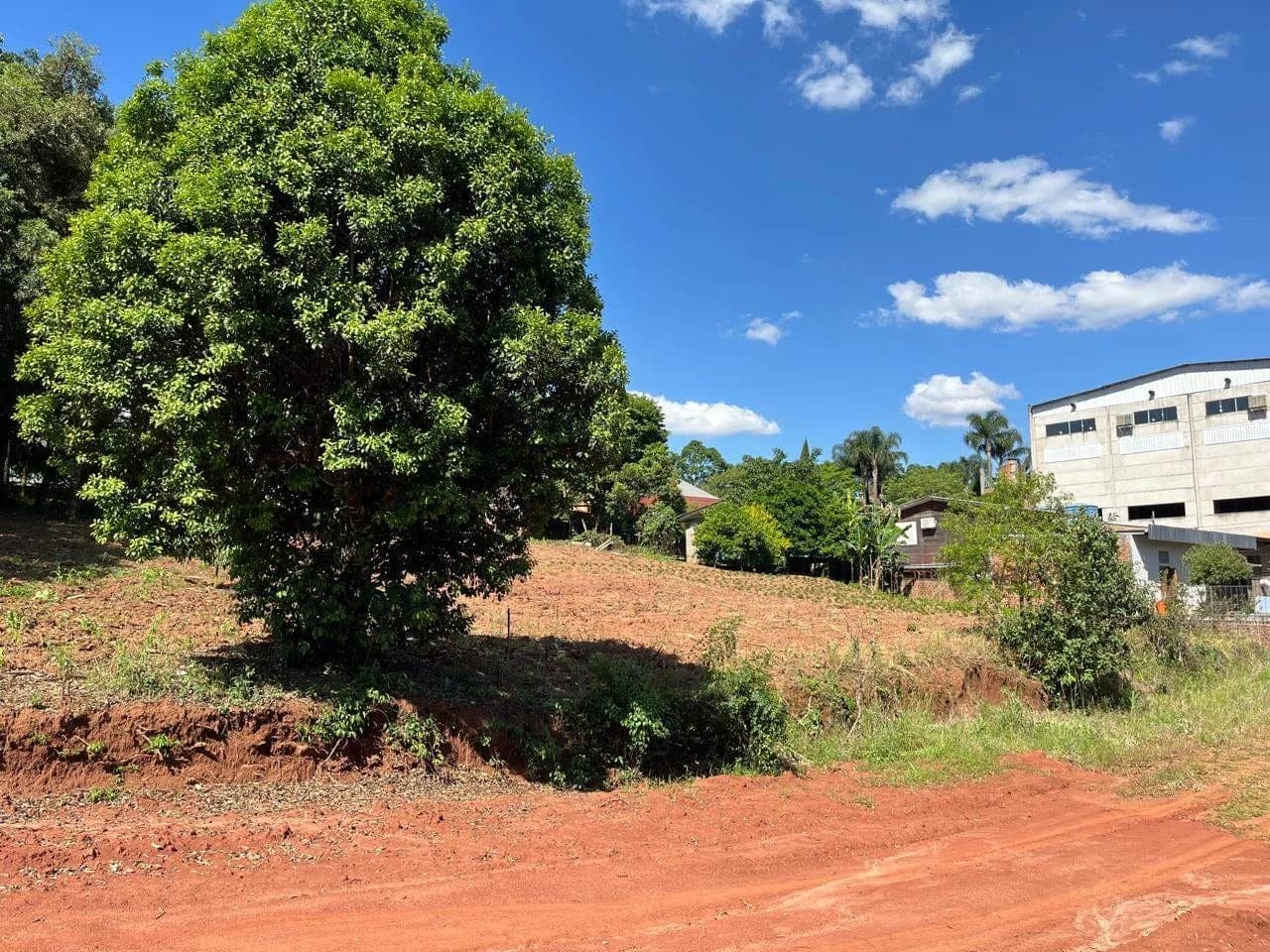 Terreno à Venda no Loteamento Busnelloem Marau RS | 4.648 m²