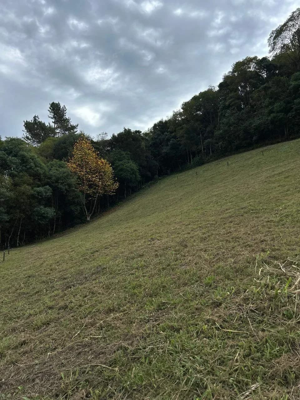 Terreno 23.000m² à Venda em Marau RS