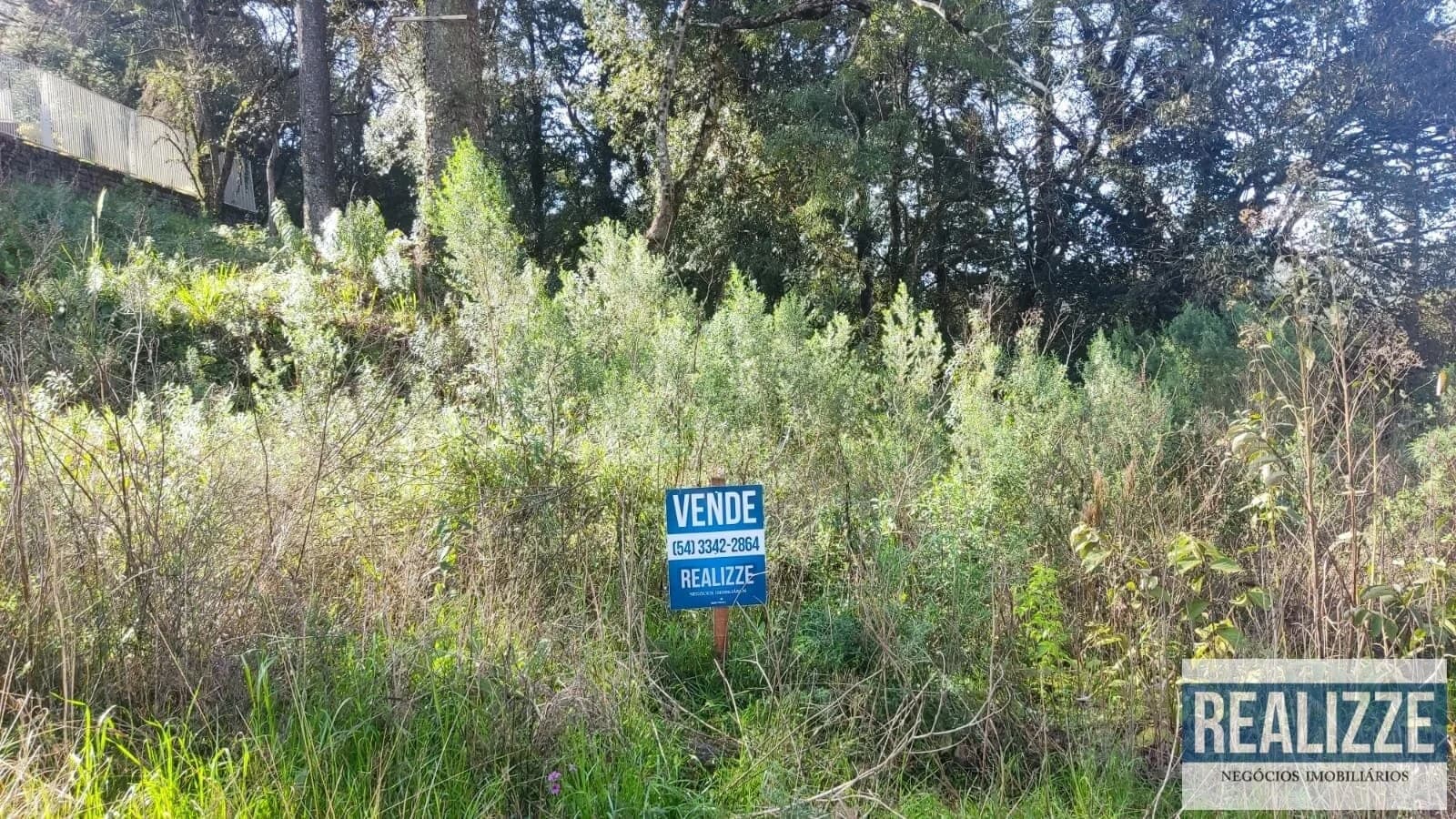Terreno - Vila Progresso